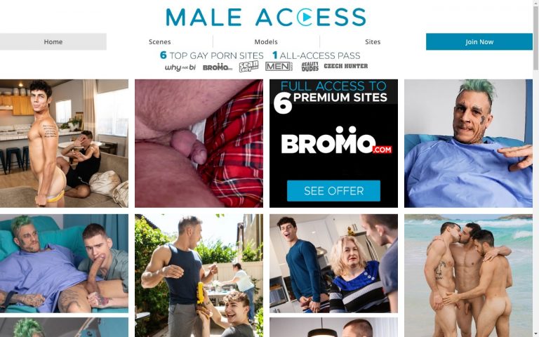 Maleaccess - Best Premium Gay Porn Sites